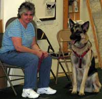 Gus sitting calmly with a stranger during his CGC test